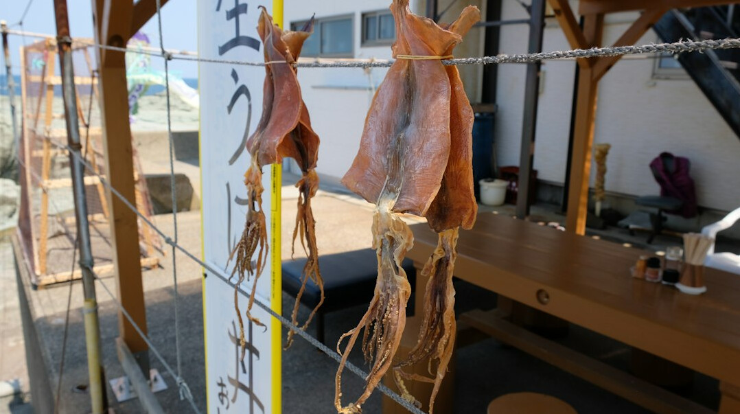 giant squid